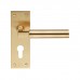 Amiata Lever on Backplate Lock EUL041 (EUL041) Grant Haze Architectural Ironmongers and Builders Merchants
