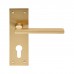 Trentino Lever on Backplate Lock EUL031 (EUL031) Grant Haze Architectural Ironmongers and Builders Merchants
